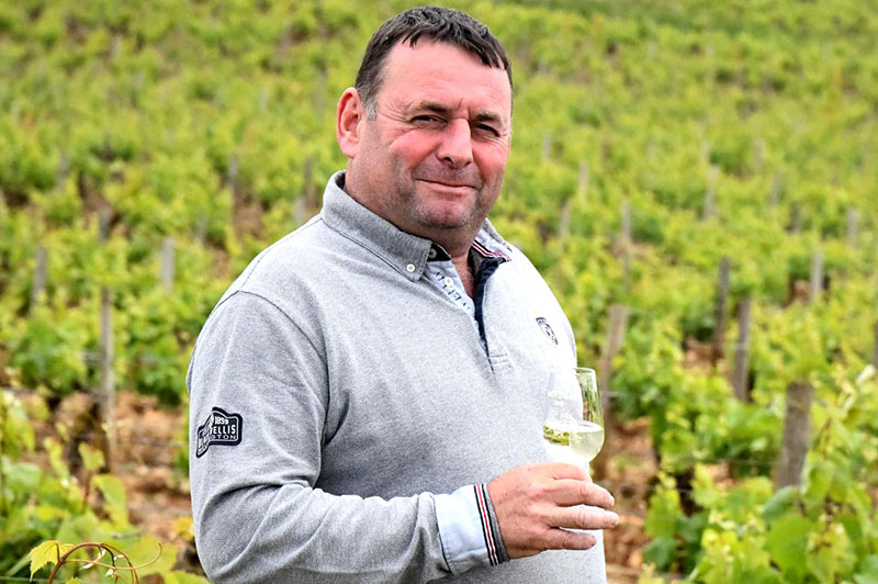 Producteur de vin HERMITAGE DE NANTOUX DOMAINE MORÉTEAUX ET FILS